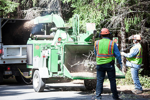 How Our Tree Care Process Works  in  Turley, OK